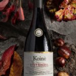 Antichi Vinai - Koiné Etna riserva DOC 2016